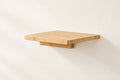 Cat Climbing Shelf