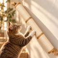 Slanted Cat Scratcher for Wall